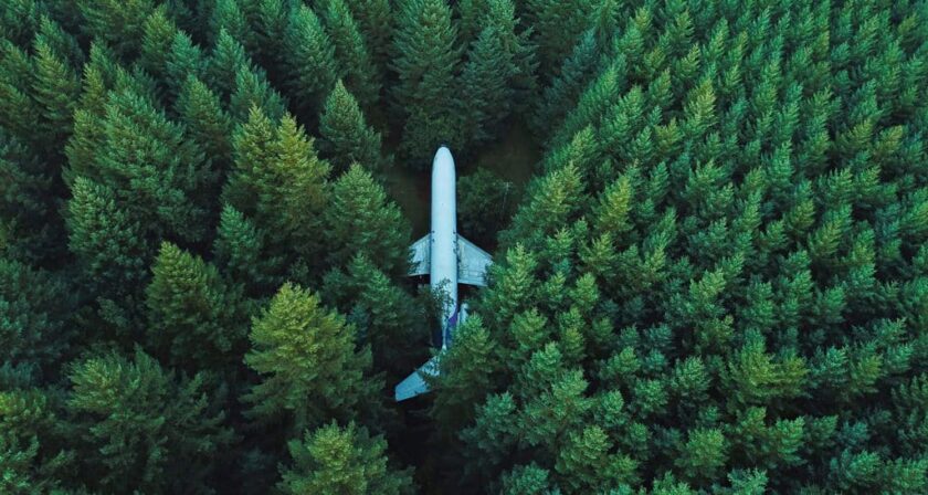 aeroplano nella foresta