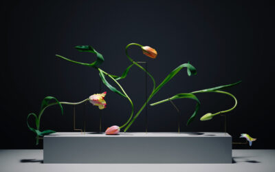 La vita di un fiore, Carl Kleiner