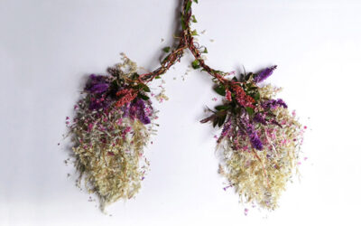 Gli organi composti da piante e fiori di Camilla Carlow, Eye Heart Spleen