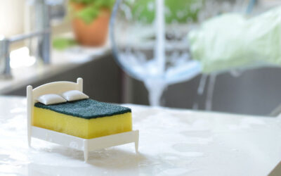 Un letto per spugne, Clean Dreams di Wishlist