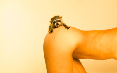 Tra uomo ed animale negli scatti di Ryan McGinley