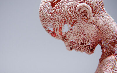 Cycle: il corpo umano animato di Kouhei Nakama
