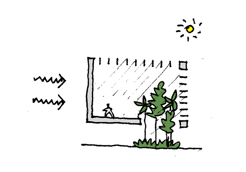 sezione casa nella foresta