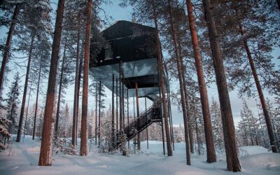 La casa sull'albero che vede l'aurora boreale