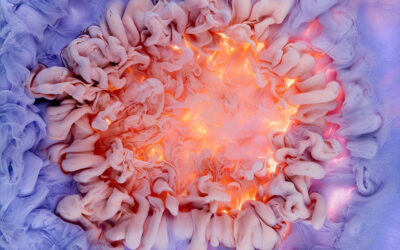 Esplosioni di colore nei vortici di Mark Mawson