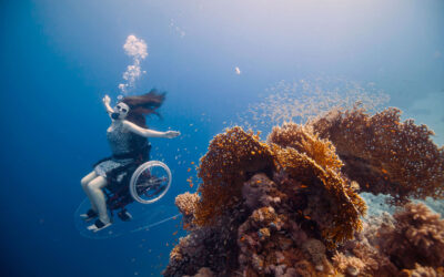 Freewheeling, non esistono limiti per nessuno