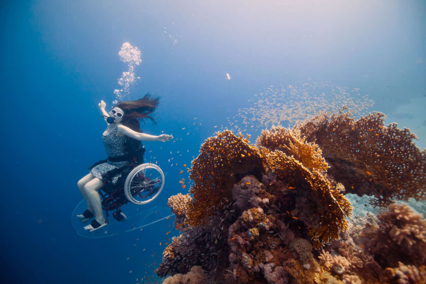 Freewheeling