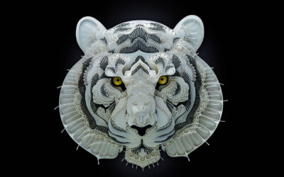 Gli origami tridimensionali di Patrick Cabral per la salvaguardia di animali