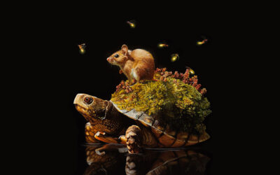 Lisa Ericson immagina fantastici ecosistemi sorretti da tartarughe