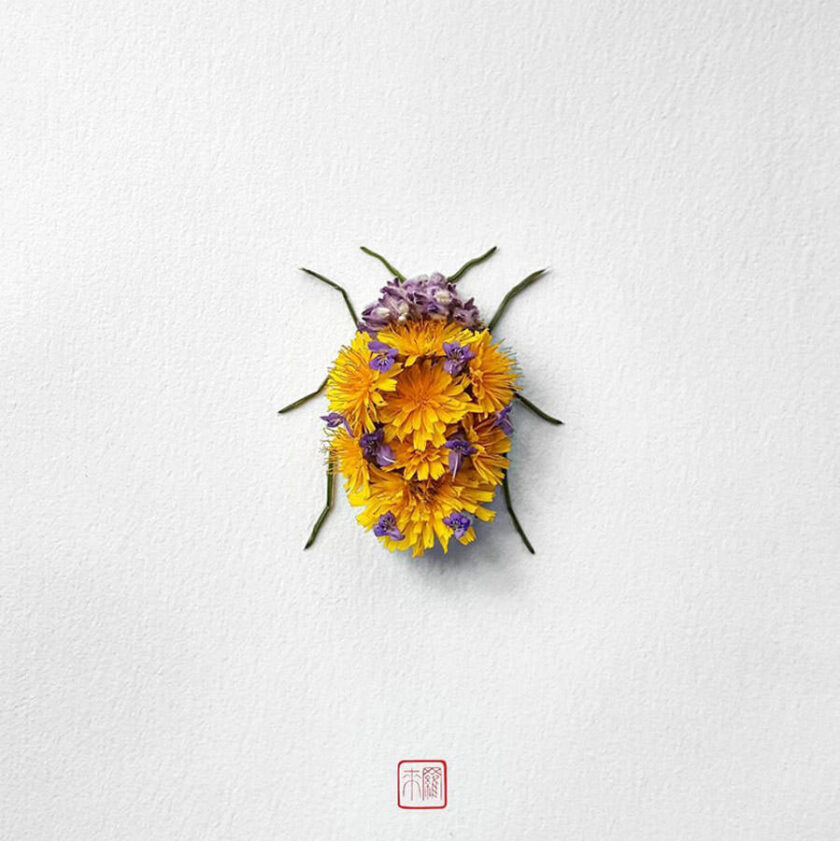 Insetti dai Fiori
