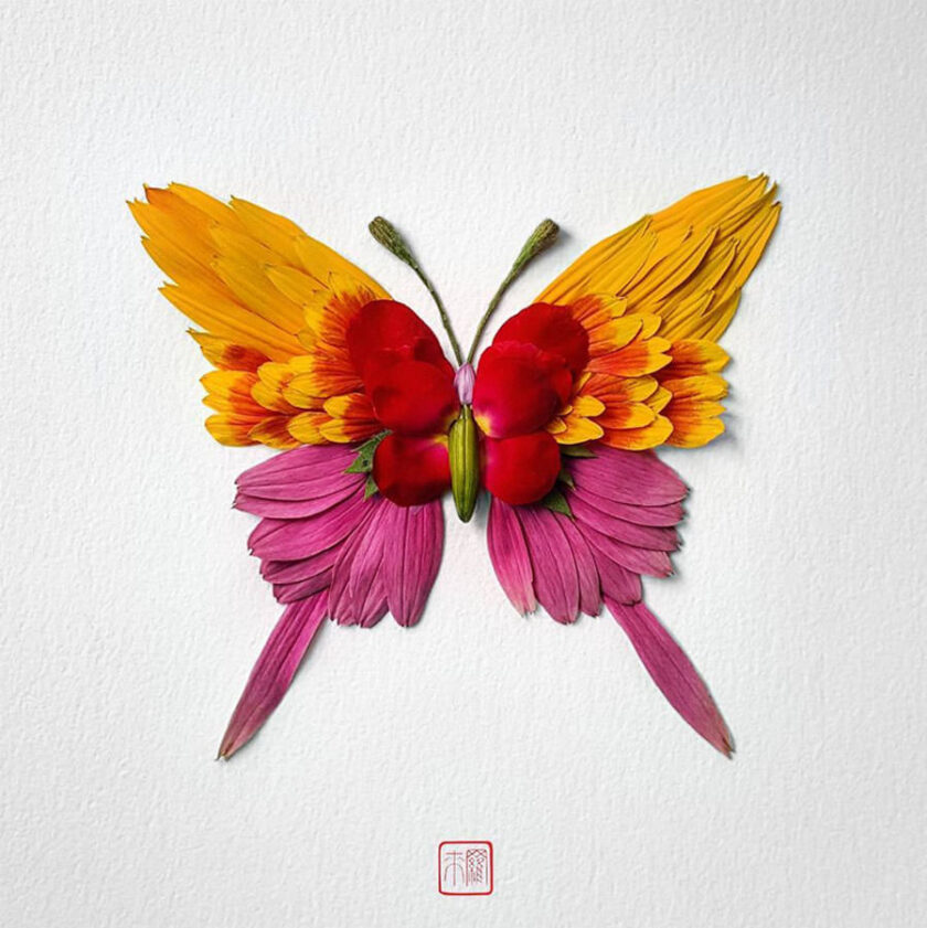 Insetti dai Fiori