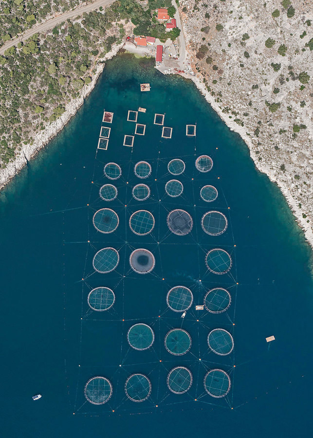 coltivazioni costiere