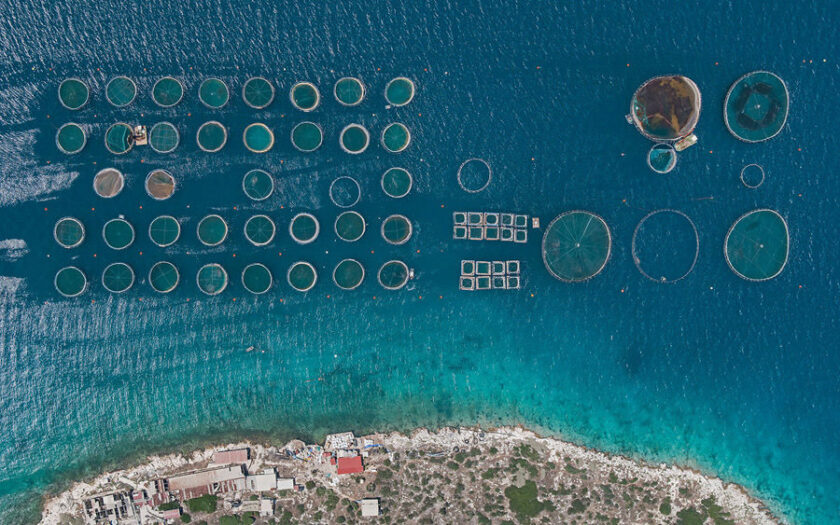 coltivazioni costiere