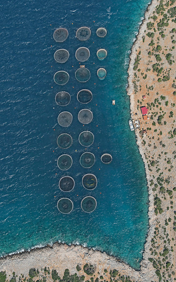 coltivazioni costiere