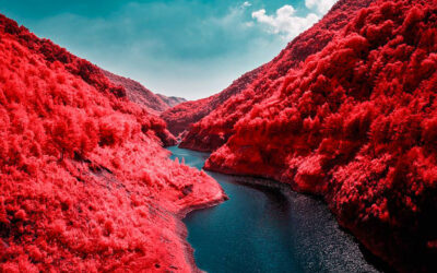 I paesaggi a infrarossi di Zak van Biljon