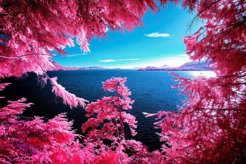 Kodak Aerochrome