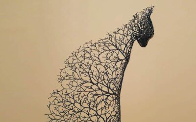 Gli animali ramificati di Kang Dong Hyun