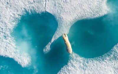 Le migliori fotografie aeree del 2017 secondo SkyPixel