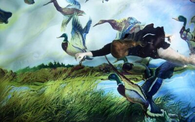 The sense of water, i mondi sommersi di Susanna Majuri