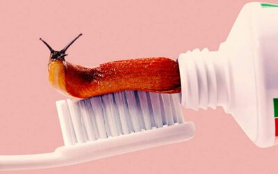 Le creazioni surreali e insensate di Randy Lewis