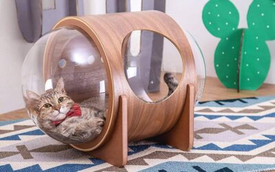Le cucce per gatti dal design spaziale di MyZoo Studio