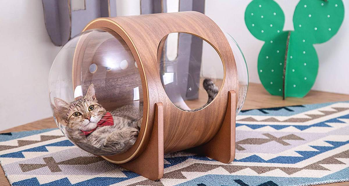 Rialzo Scrivania NestChroix Letto Per Gatti Da Scrivania, Rialzato, Sopra La Scrivania, Mantiene Il Gatto Vicino E Lo Spazio Di Lavoro Trasparente, Con Cuscini Per Animali Domestici (asta Dritta Piedi Letto - 11