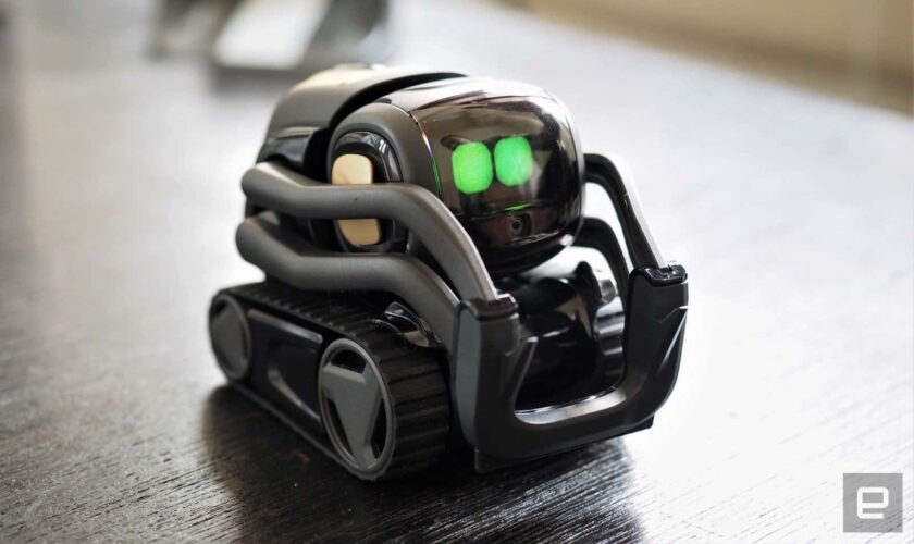 Vector, un piccolo robot da compagnia