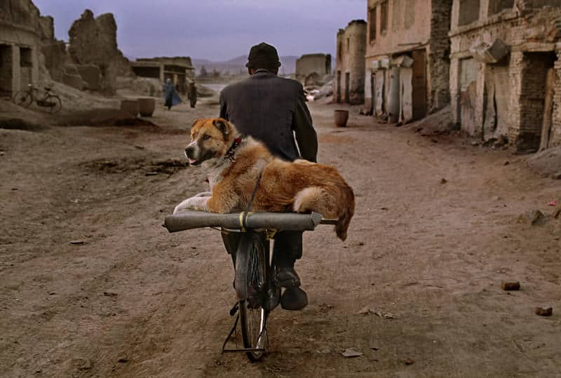 Steve McCurry MUDEC