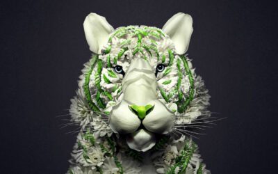 Gli animali di fiori di Raku Inoue