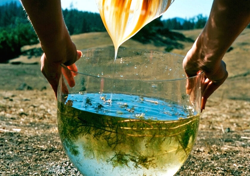 neo-surrealismo fotografico di Sarah Elise Abramson