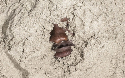 Sepolti sotto la sabbia e fotografati, Charlie Kwai in Ghana