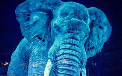 Il circo in Germania che usa ologrammi invece di sfruttare gli animali veri