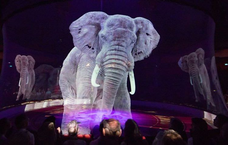 Circo Roncalli
