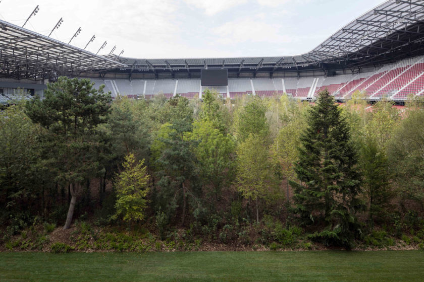 forest in a stadium