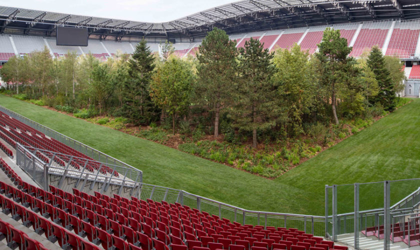 forest in a stadium