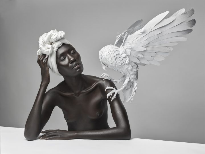 Justin Dingwall