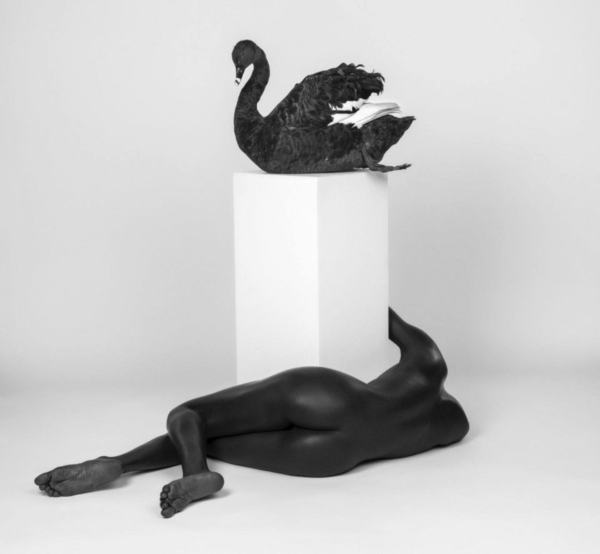 Justin Dingwall