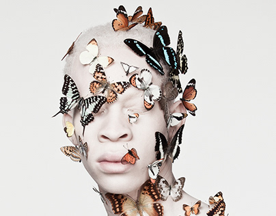 Justin Dingwall