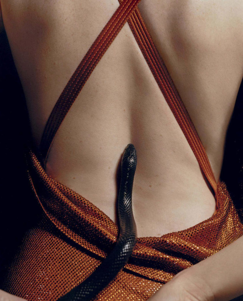 Harley Weir