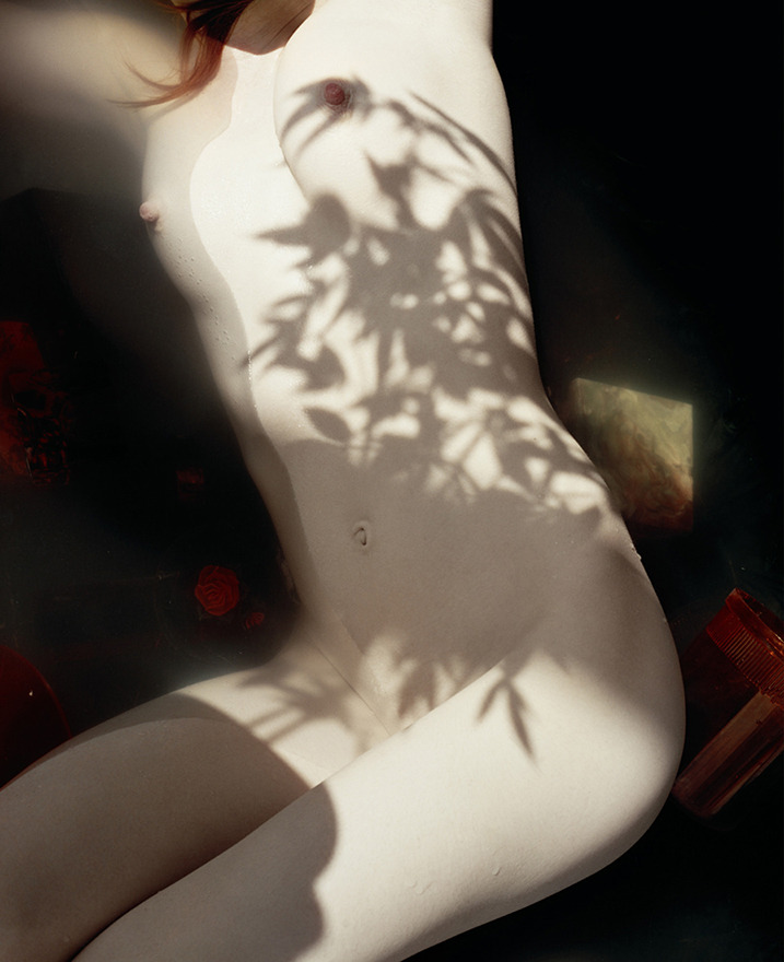 Harley Weir