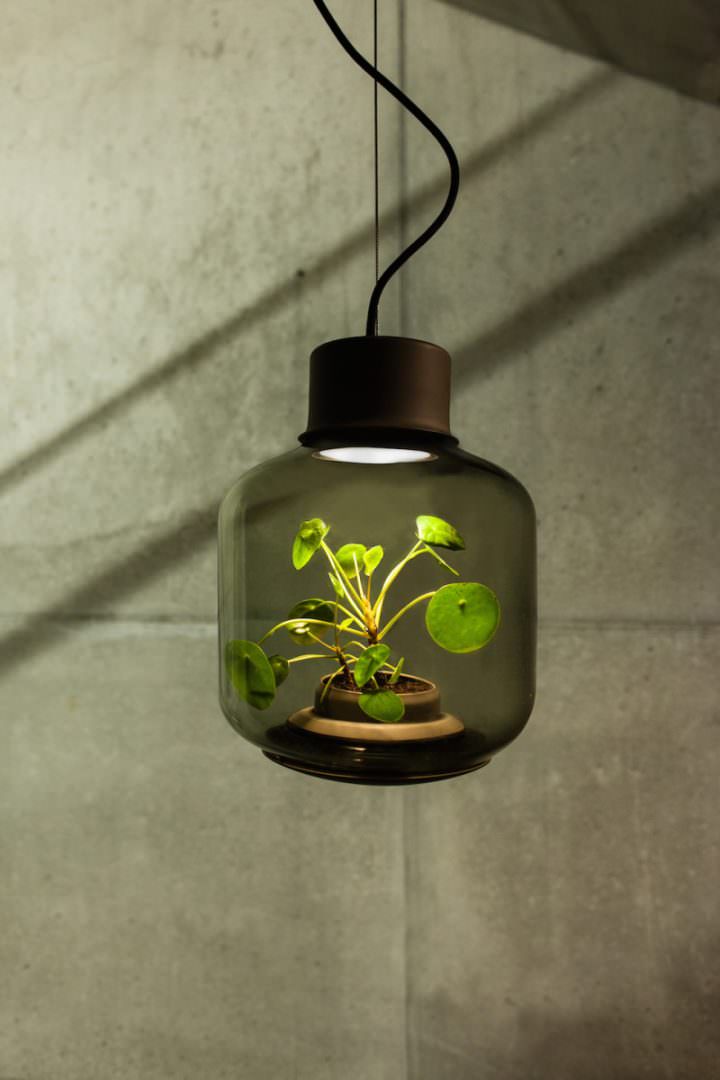 design lampen