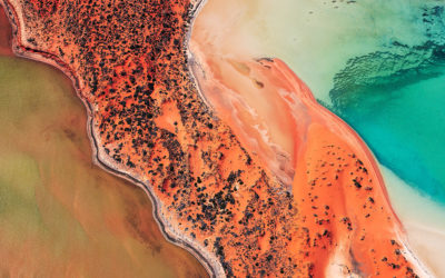 Tra la natura e gli splendidi colori di Shark Bay in Australia