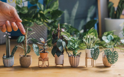 Le piante di carta in miniatura di Raya Sader Bujana