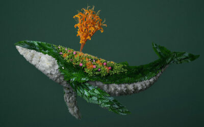 La natura mostrata dall’artista dei petali Raku Inoue