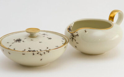 Le originali porcellane "con formiche" di Evelyn Bracklow