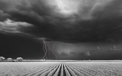 Le tempeste nei paesaggi rurali americani fotografate da Mitch Dobrown