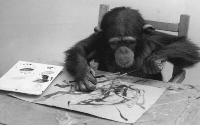 Congo, la scimmia pittrice che appassionò Picasso