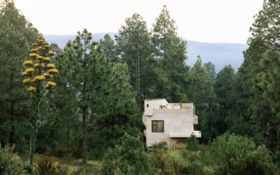 Casa Alférez, un rifugio vernacolare nella foresta messicana
