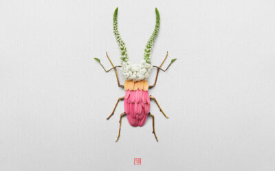 Natura Insects, gli insetti floreali di Raku Inoue
