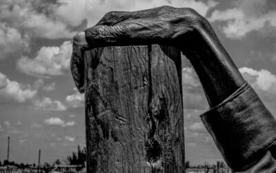 L'America nascosta fotografata da Matt Black